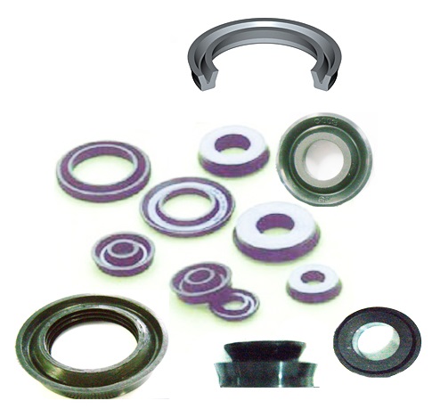 FG05-Cup seal.jpg